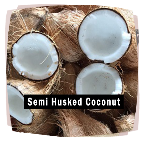 semi husked coconut