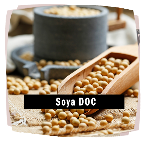 Soya DOC